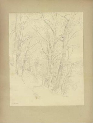 Klebebände, Band 25, Seite 76