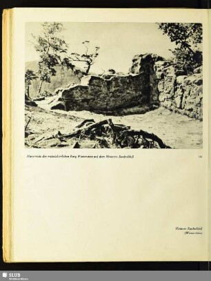 Mauerreste der mittelalterlichen Burg Winterstein auf dem Hinteren Raubschloß