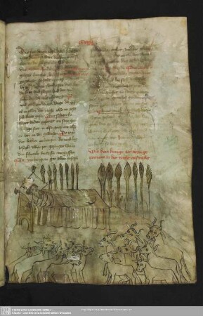 47r: kolorierte Federzeichnung: Pharaos Traum