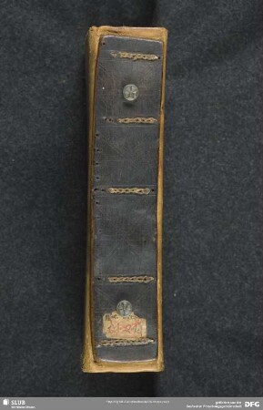 Visionsberichte - Mscr.Dresd.M.244