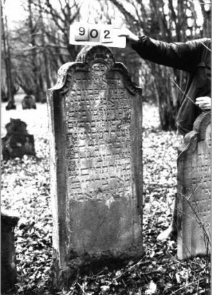Grabstein 902 (Index: 99753238) Material: Sandstein Zustand: leicht verwittert Maße HxBxT: 152x61x14 cm Beschreibung: Stele, geschwungen eingezogener Rundbogenabschluß, Schriftfeld eingetieft Symbolik: stilisierte Muschel: Grabstein 902