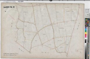 Billerbeck, Kspl. (Billerbeck), Zusammenlegung Holthausen-Gantweg, Urkarte II Flur 25