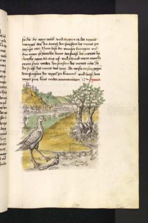 Der Fürst der Meere (Greifvogel) und die Vögel im Nest; (Kapitel II: Von dem Löwen und dem Ochsen)