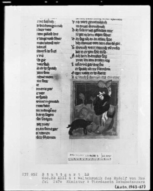 Weltchronik - Bruder Philipp — ---, Folio 1recto-256recto---, Folio 1recto-256rectoNebukadnezars Wahnsinn, Folio 247verso