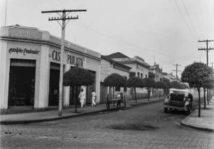 "Straße des 15. November" : Die "Straße des 15. November" in São José do Rio Preto mit einer Baumallee.