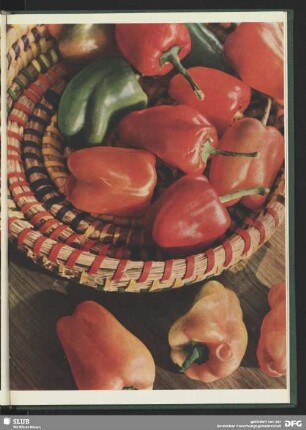 Paprika