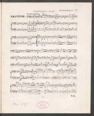 Violoncello & Basso