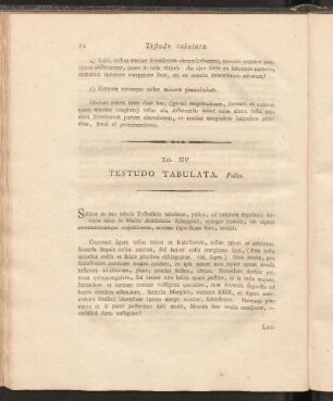 Tab. XIV: Testudo Tabulata. Pullus