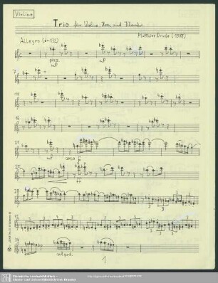 Violine