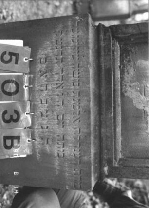 Grabstein 503 (Index: 99787834) Material: Sandstein Zustand: zerbrochen und repariert, leicht verwittert Maße HxBxT: 151x52x15 cm Symbolik: florale Motive: Grabstein 503B
