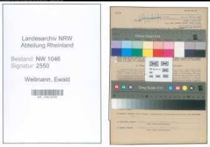 Entnazifizierung Ewald Wellmann , geb. 16.09.1906 (Verwaltungsbeamter)