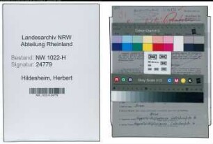 Entnazifizierung Herbert Hildesheim , geb. 21.05.1909 (Techniker)