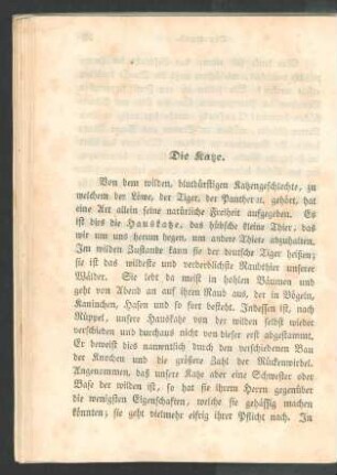 Die Katze.