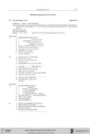 Ritualbeschreibungen (Texte Nr. 53−66)