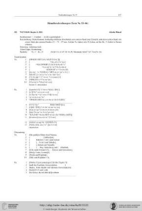 Ritualbeschreibungen (Texte Nr. 53−66)