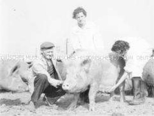 Tierärztin Dr. Krause aus Mestlin und ihre Veterinärhelferin begutachten eine Sau des VEG Tierzucht Herzberg-Woelten