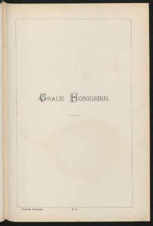 II. 84. Graue Honigbirn