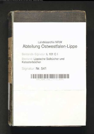 Salbuch des Amtes Blomberg von 1849, Bd. 3