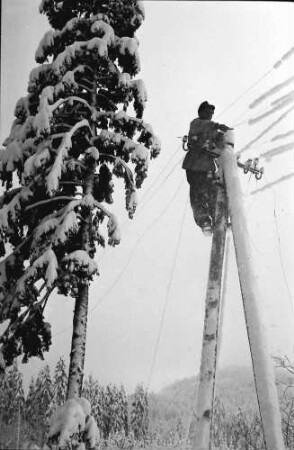 St. Blasien - Todtmoos: Straße; Bautrupp beseitigt Schneeschäden an Telefonleitungen; Arbeiter auf Telefonmast