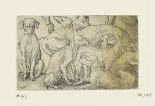 Sechs Hunde