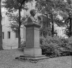 Oken, Lorenz