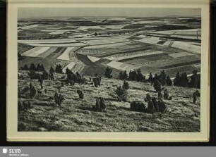 Eifellandschaft bei Daun