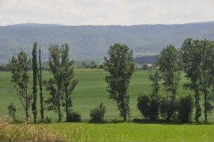 Quedlinburg - Vorharzgebiet : Blick über Felder im Vorharzgebiet Aufgenommen am 14. Juni 2010