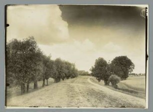 Auf dem Elbdeich bei Schnackenburg/Wittenberg