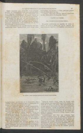 Capítulo XXXI. - Una persecución interrumpida.