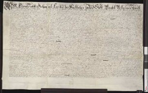 Bestandsbrief des Basler Domkapitels für Hans Jakob Haimser über den Fronhof zu Tiengen.