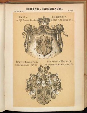 Taf. 45. Fürst v. Lichnowsky. - Frhrrn. Lichnowsky Edle Herren v. Woschtitz.