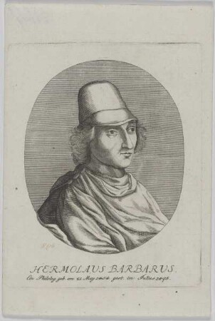 Bildnis des Hermolaus Barbarus