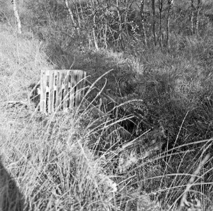 Nienwohlder Moor: Naturschutzgebiet: Renaturierung: Reste einer abgestürzten Holzlore in Vertiefung neben Hauptdamm: dahinter Sträucher und Birken