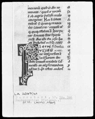 Bernardus, Sermones in Contica Canticorum — Initiale P(utamus), Folio 48verso