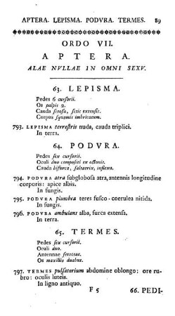 Ordo VII. Aptera