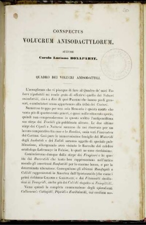 Quadro Dei Volucri Anisodattili.
