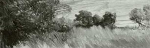 Wiesenstudie