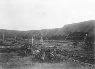 Senftenberger Braunkohlengrube : Geologie | Kohlengeologie | Entstehung der Kohle