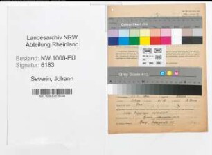 Entnazifizierung Johann Severin, geb. 29.07.1902 (Elektromonteur)
