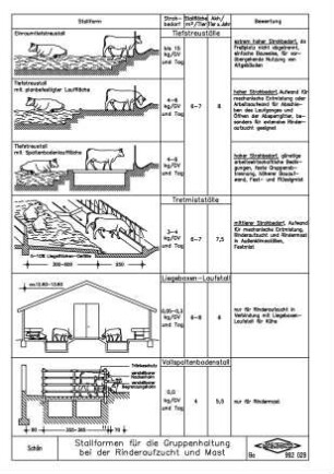 Stallformen für die Gruppenhaltung bei der Rinderaufzucht und Mast