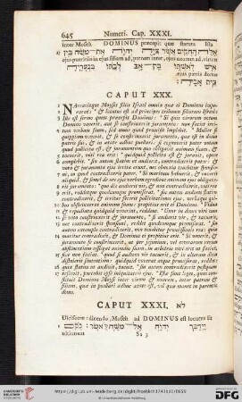 (Caput XXXI - XXXVI)