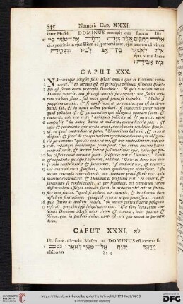 (Caput XXXI - XXXVI)