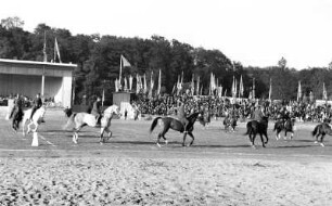 Reitturnier auf der Reichsnährstandausstellung 1939 : Ein Reitturnier auf dem Großen Ring im Rahmen der 5. Reichsnährstand-Ausstellung 1939 in Leipzig.