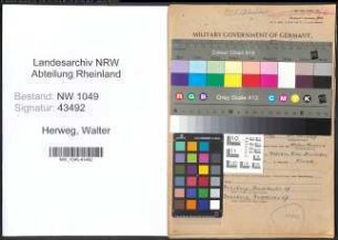 Entnazifizierung Walter Herweg , geb. 29.10.1913 (Lehrer)