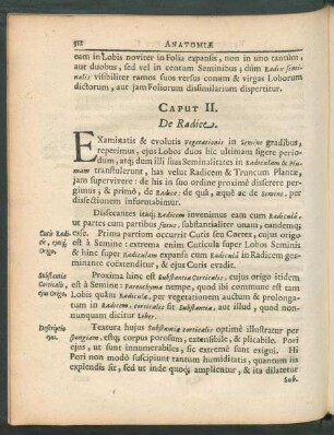 Caput II. De Radice.