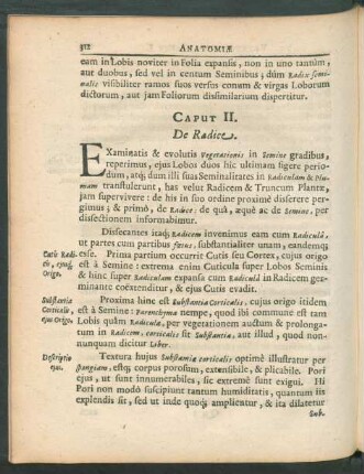 Caput II. De Radice.