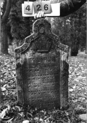 Grabstein 426 (Index: 99752709) Material: Sandstein Zustand: leicht verwittert mit Textverlust Maße HxBxT: 95x53x11 cm Beschreibung: Stele, doppelt eingezogener Rundbogenabschluß, Schriftfeld eingetieft Symbolik: Lilie, Blüte: Grabstein 426