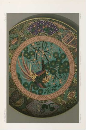 Plate XI.