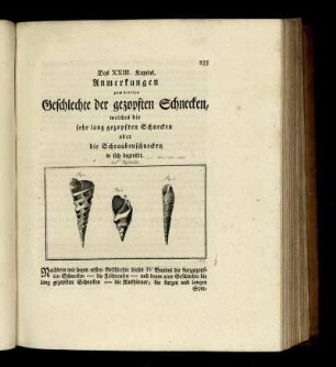 Das XXIII.Kapitel. Anmerkungen zum dritten Geschlechte der gezopften Schnecken, welches die sehr lang gezopften Schnecken oder die Schraubenschnecken in sich begreifet.