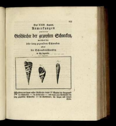 Das XXIII.Kapitel. Anmerkungen zum dritten Geschlechte der gezopften Schnecken, welches die sehr lang gezopften Schnecken oder die Schraubenschnecken in sich begreifet.
